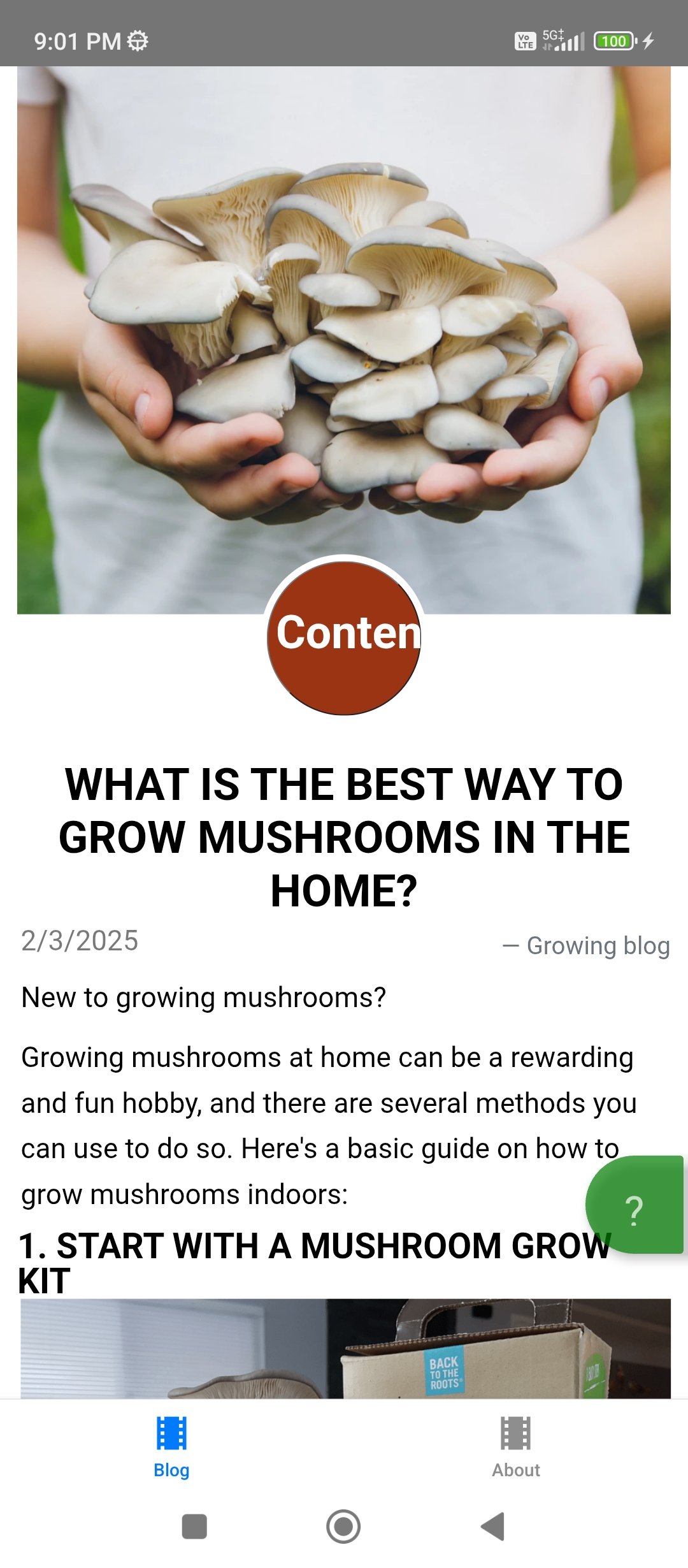 RN Blog App Screenshot 2