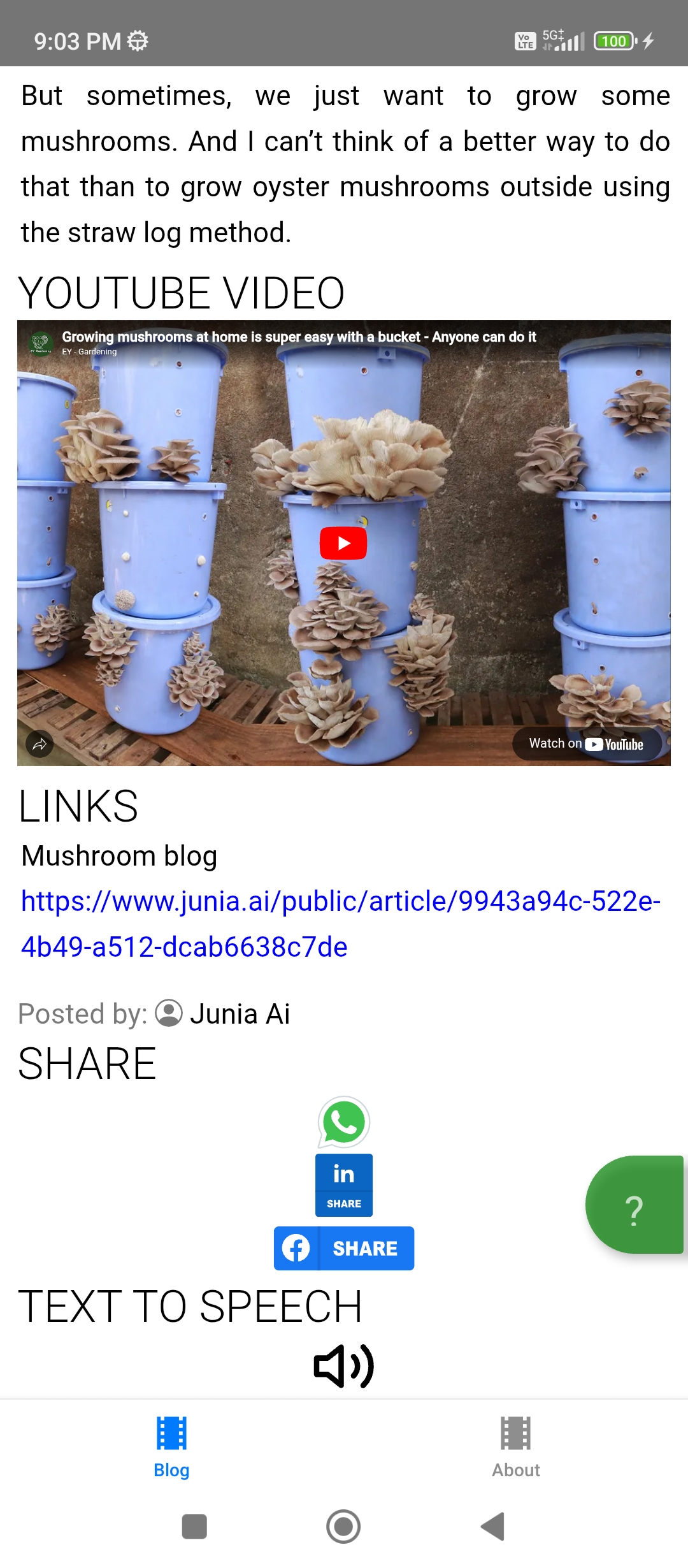 RN Blog App Screenshot 3